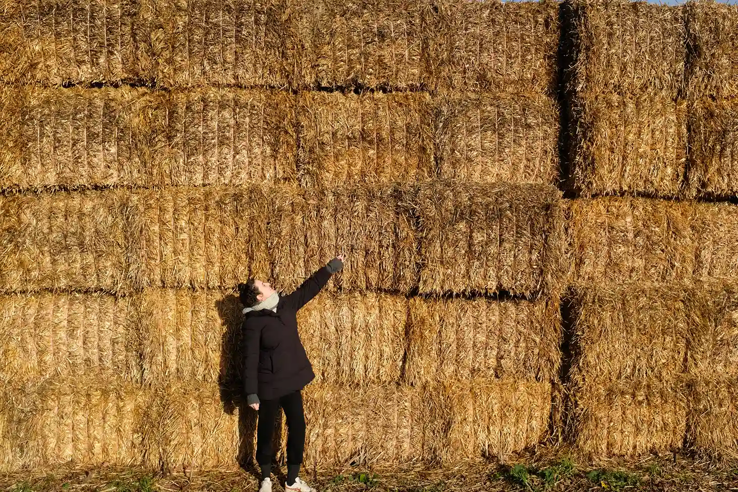 Dafna in front of hay